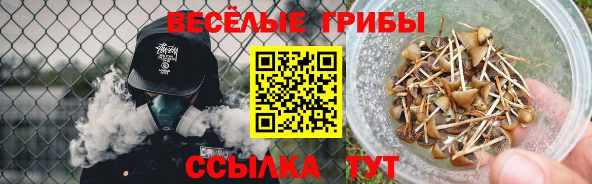 Галлюциногенные грибы ЛСД Бугульма